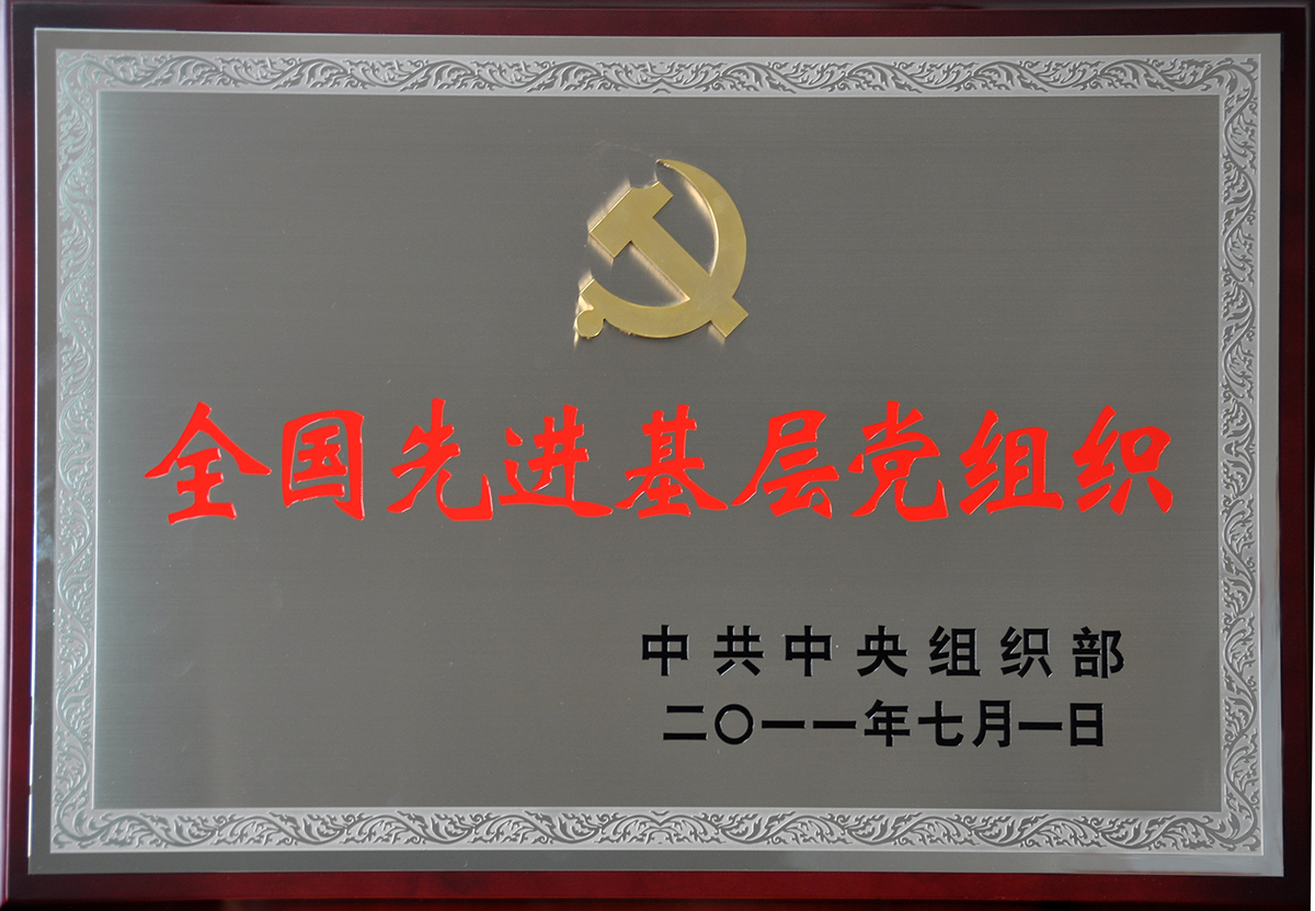 2011年7月，紅豆集團黨委榮獲“全國先進基層黨組織”稱號